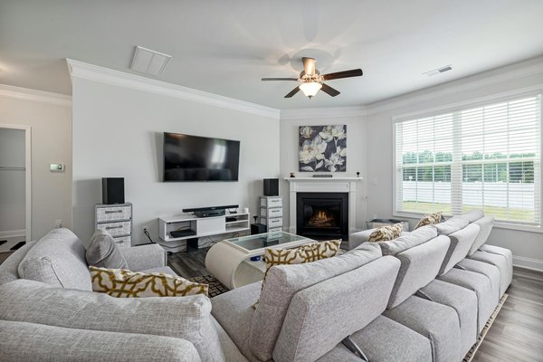 Coussin chat : l'accessoire déco qui sublime votre intérieur